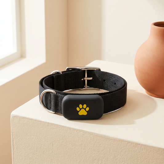GPS Pet Tracker — Real-Time Location for Dogs & Cats