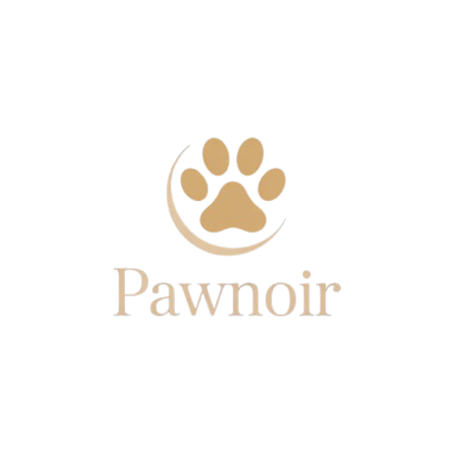 Pawnoir